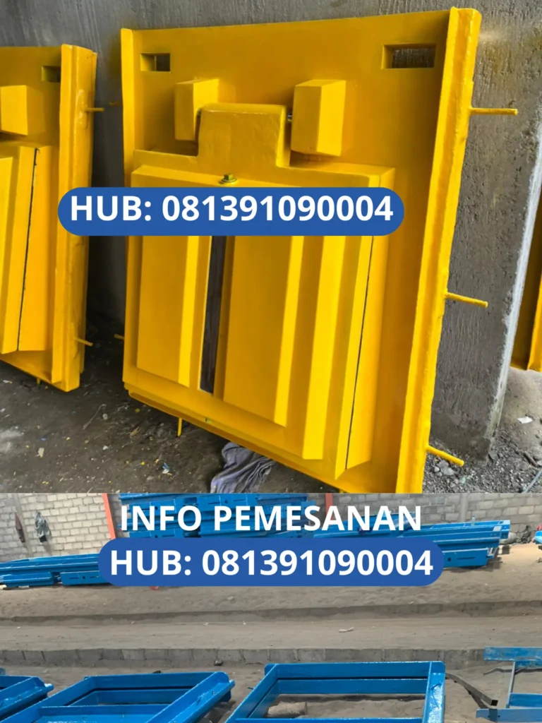 Pintu Air
